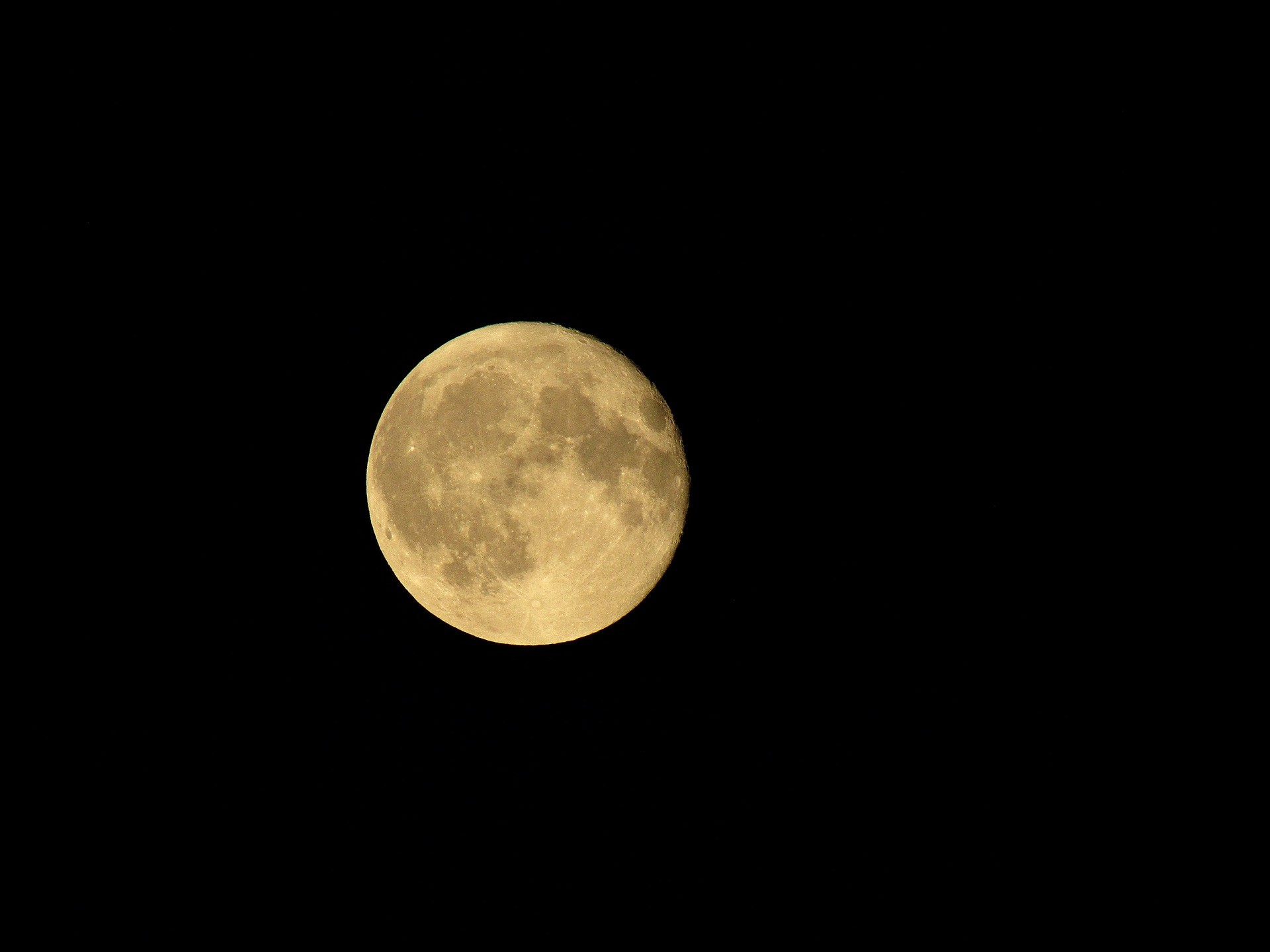 luna cosecha
